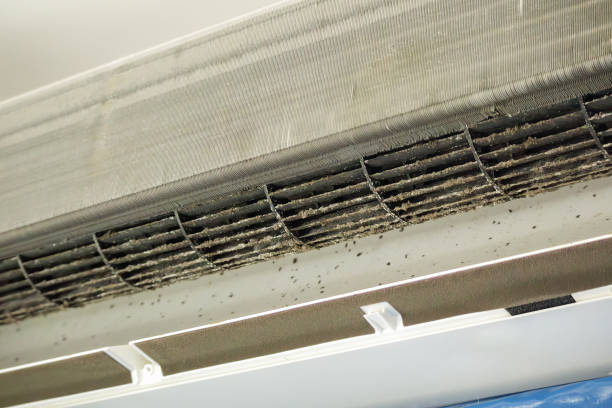 Best Commercial Air Duct Cleaning  in Three Rivers, TX